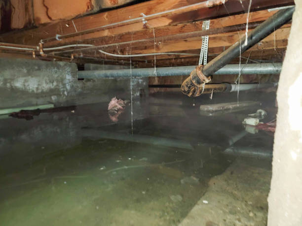 Best 24-hour water damage restoration  in Hales Corners, WI