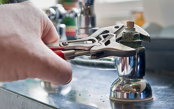 Best Ceiling water damage repair  in Hales Corners, WI
