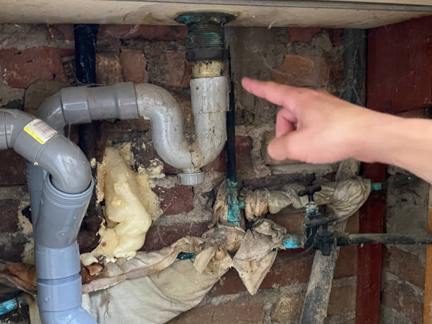 Best Professional water damage repair  in Hales Corners, WI