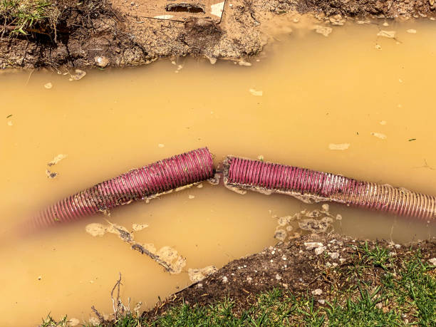Best Emergency water damage restoration  in Hales Corners, WI